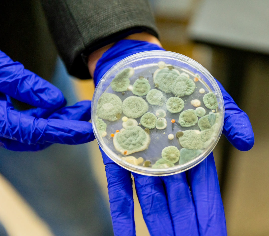 Eagle Protect - Derma² Nitrile Exam Gloves - Case (10 Boxes)